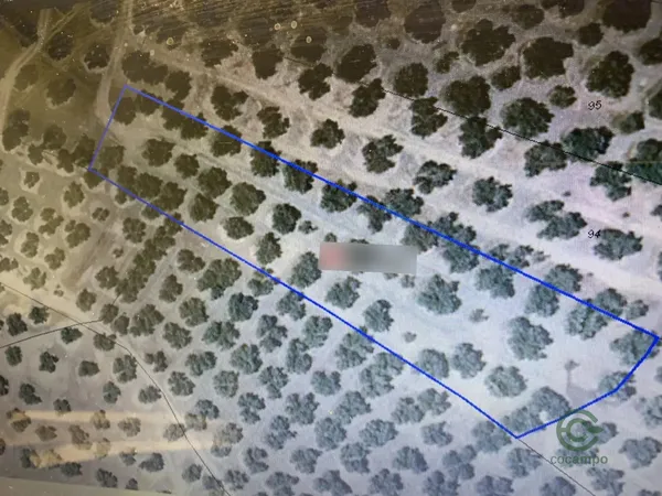 Spot image