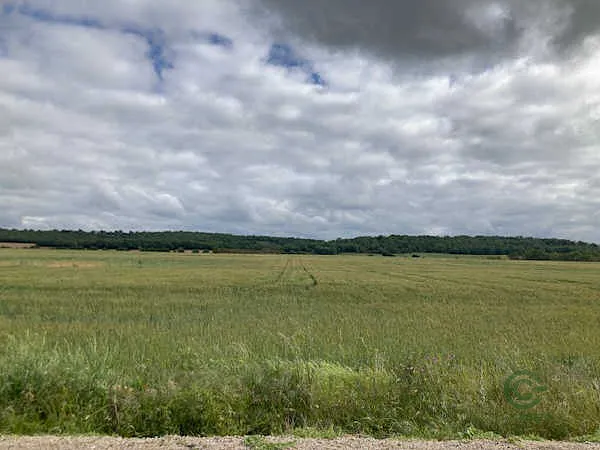 Finca rústica de 0,17 ha en venta en Arlanzón, Burgos