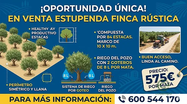 Finca agrícola de 0,84 ha en venta en Baeza, Jaen