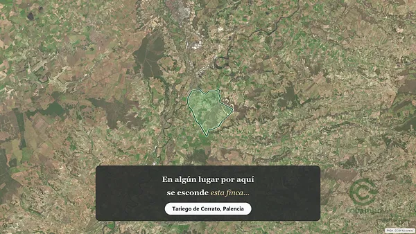 Spot image