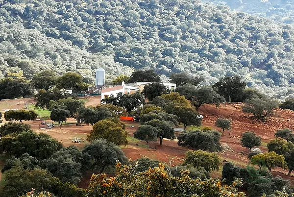 Finca ganadera de 167 ha en venta en Córdoba