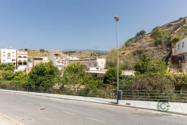 Spot image
