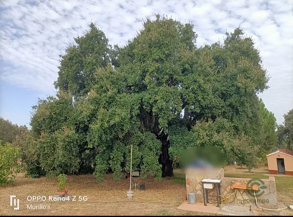 Finca rústica de 0,5 ha en venta en Badajoz