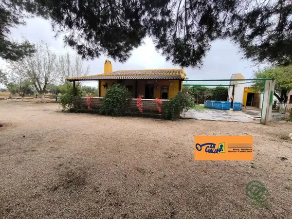 Spot image