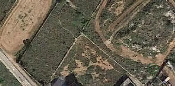 Spot image