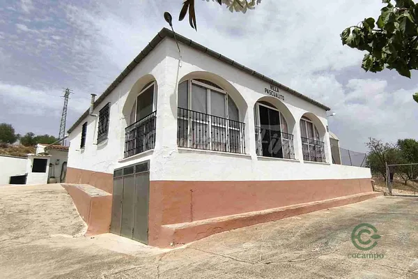 Spot image