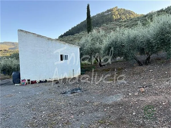 Spot image