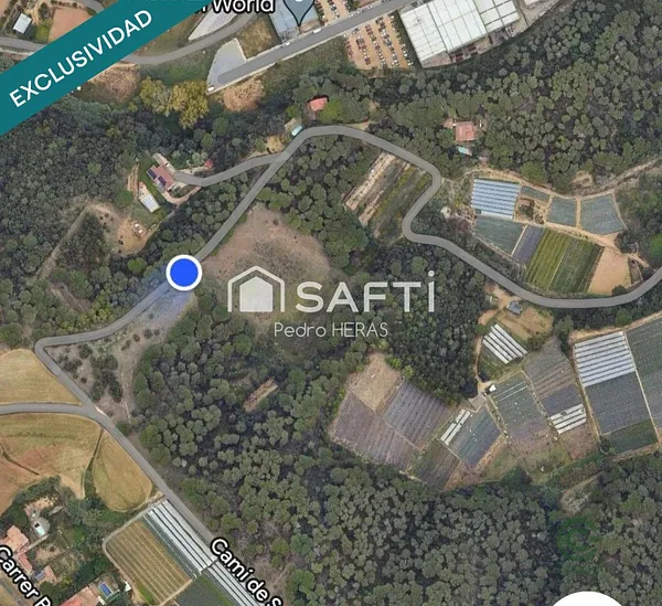 Spot image