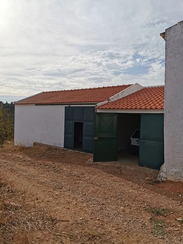 Spot image