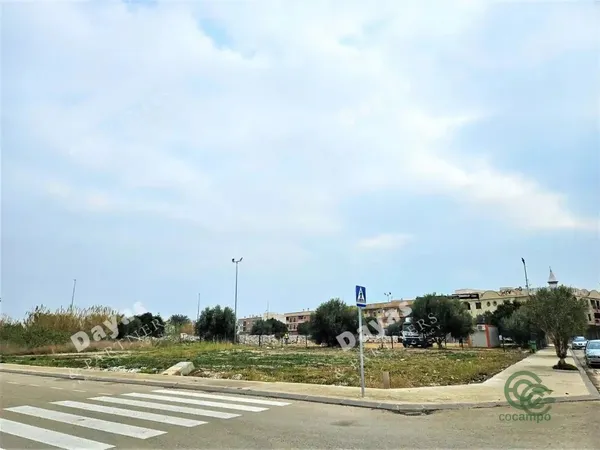 Spot image