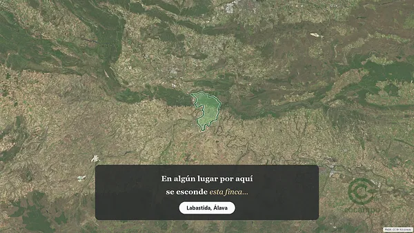 Spot image