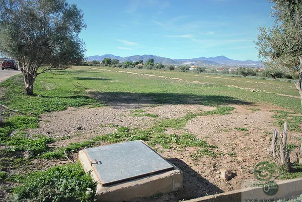 Spot image