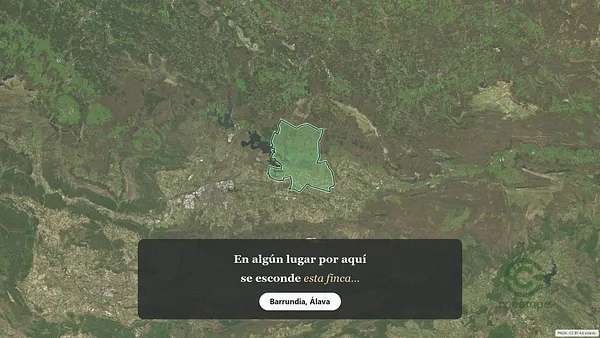 Spot image