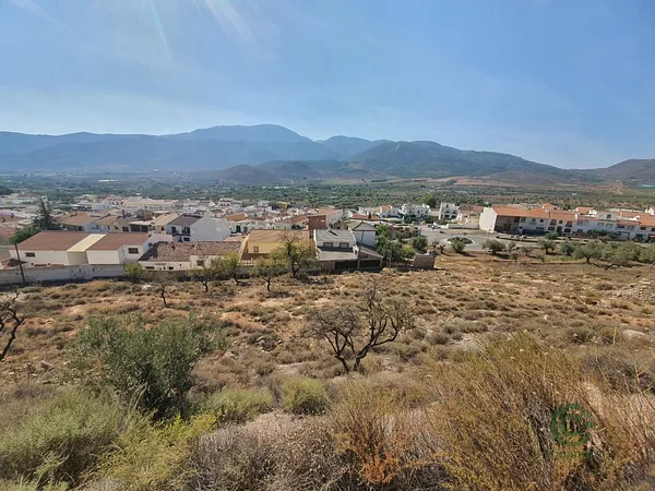 Spot image