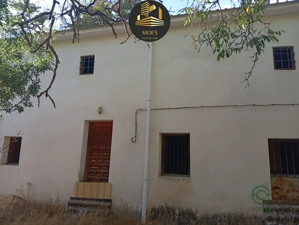 Spot image