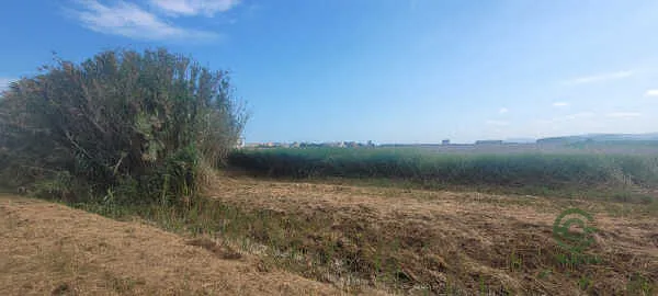 Finca rústica de 0,7 ha en venta en Moncófar, Castellón