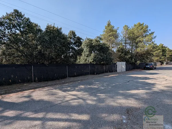 Spot image
