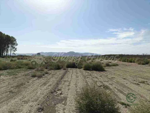 Terreno urbano de 1,4 ha en venta en Villena, Alicante