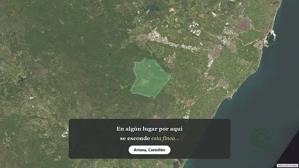 Spot image