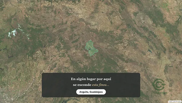 Spot image