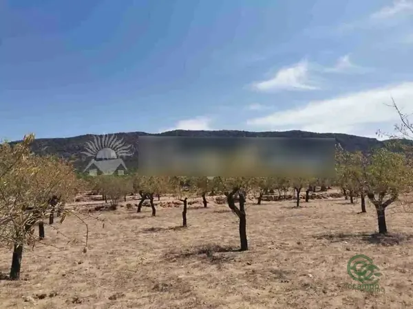 Spot image