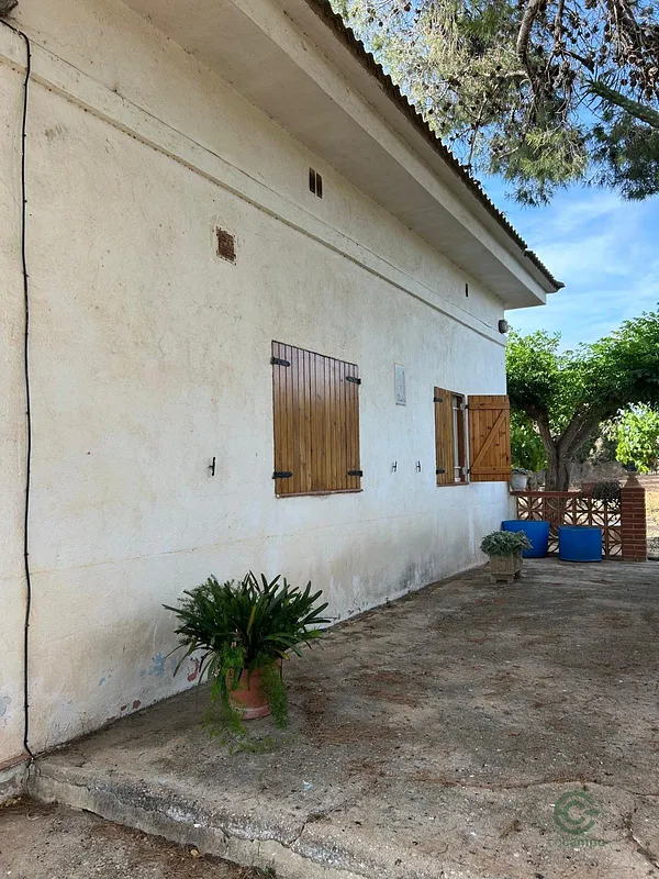 Spot image