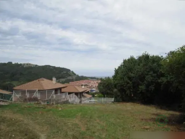 Spot image