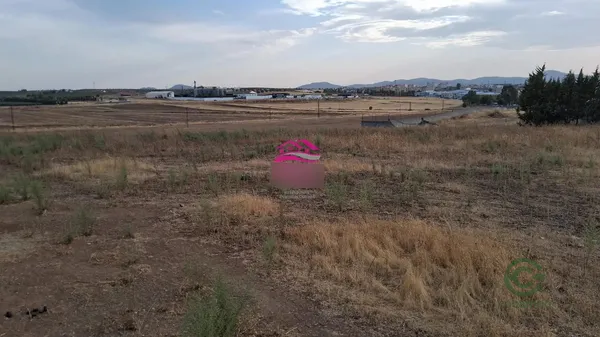 Spot image