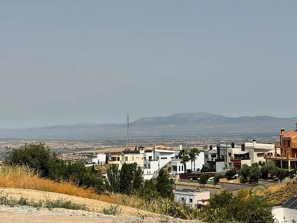 Spot image