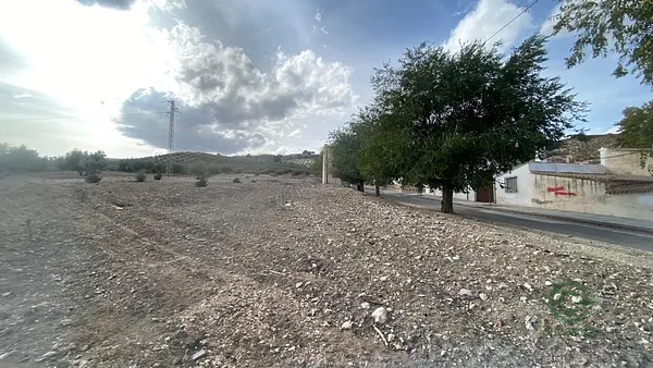 Spot image