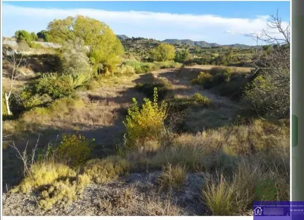 Finca agrícola de 0,59 ha en venta en Almoines, Valencia