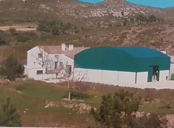 Spot image