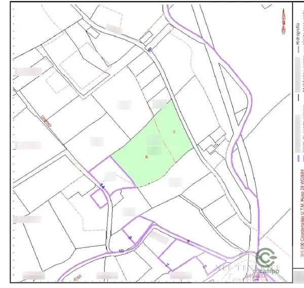 Spot image