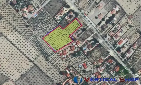 Spot image