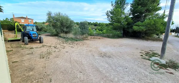 Spot image