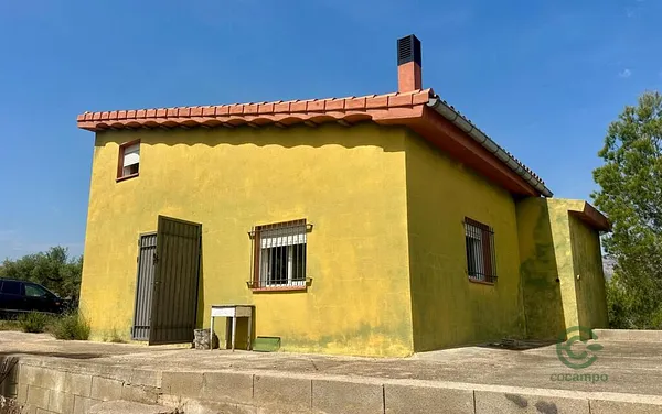 Spot image
