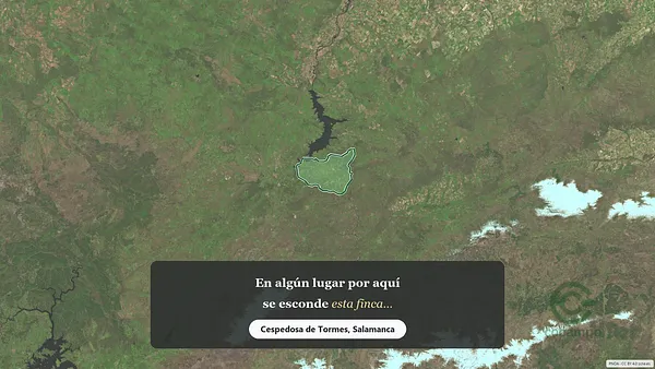 Spot image