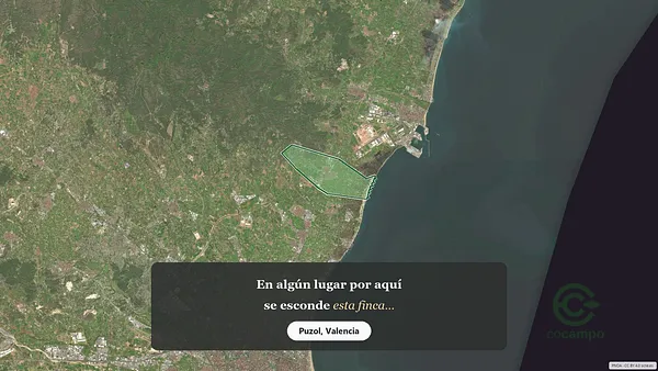 Spot image