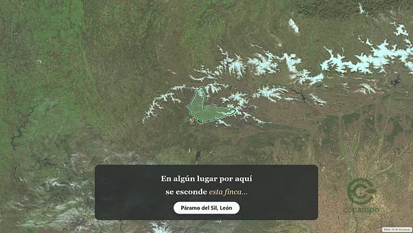 Spot image
