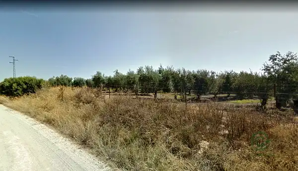Spot image