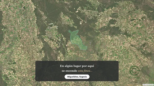 Spot image