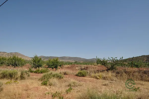 Spot image