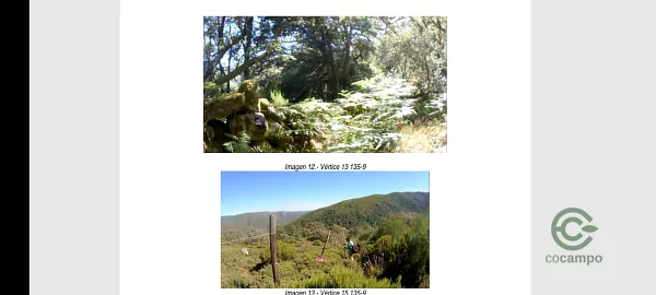 Finca rústica de 179 ha en venta en Orense