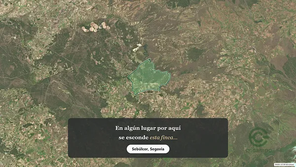 Spot image