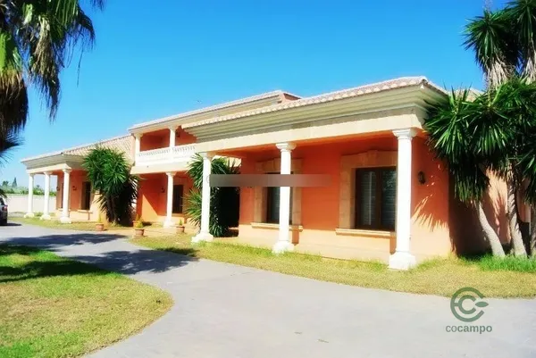 Spot image