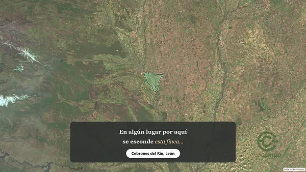 Spot image