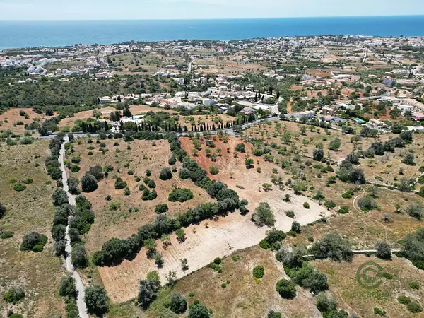 Spot image