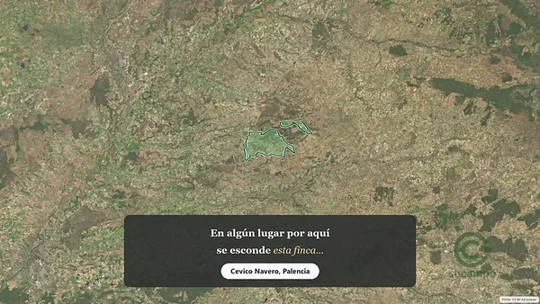 Spot image