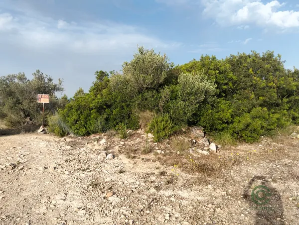 Spot image