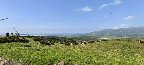 Spot image